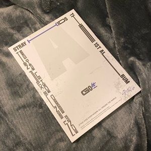 Stray Kids Go Live Album (Blue version)